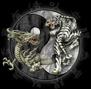 dragontiger.jpg